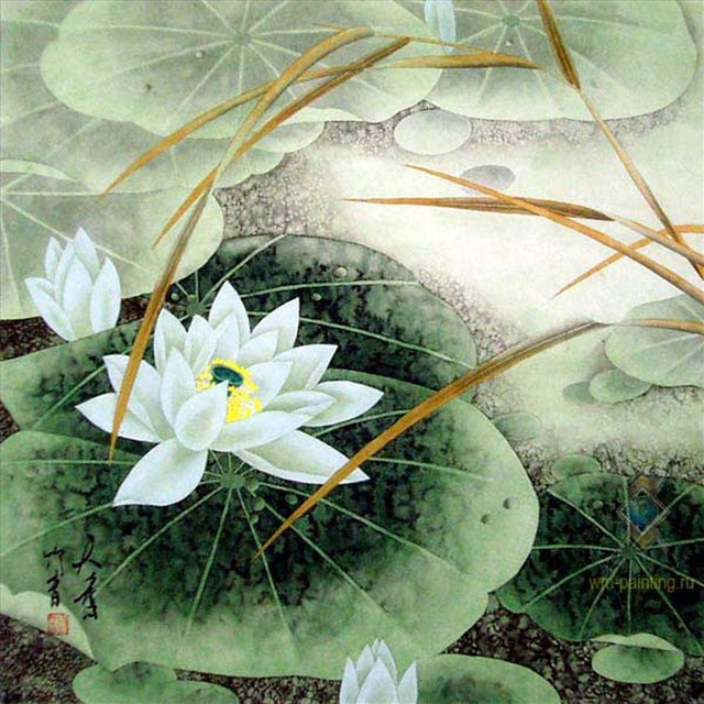 Благоухающие лотосы. - оригинал