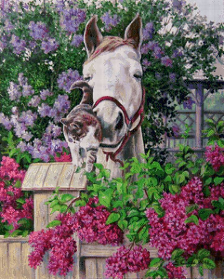 друзья - лошадь, кошка, животные - предпросмотр