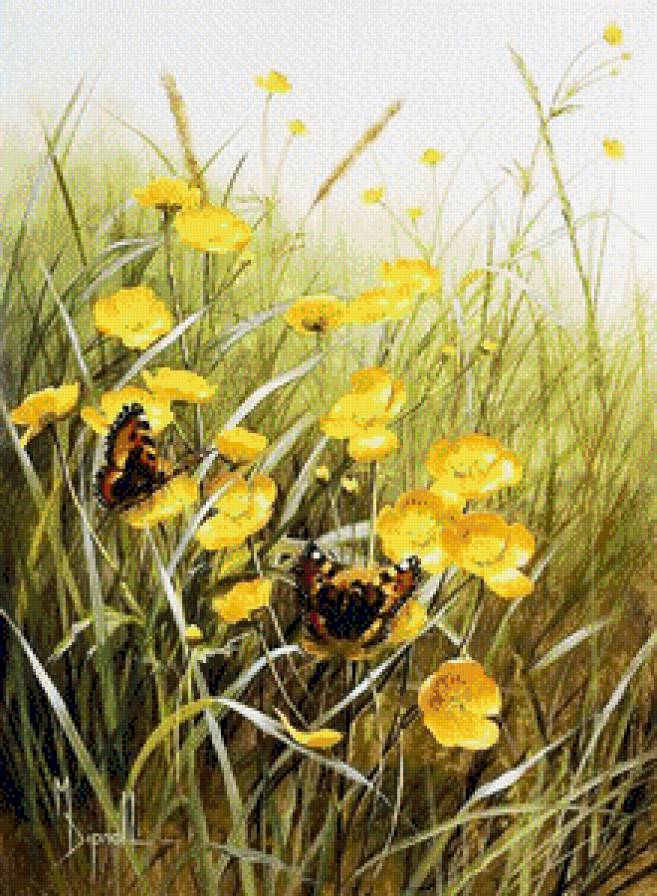 Лето_2 - поле, бабочки, цветы, лето - предпросмотр