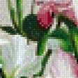 Предпросмотр схемы вышивки «Цветы_1» (№738008)