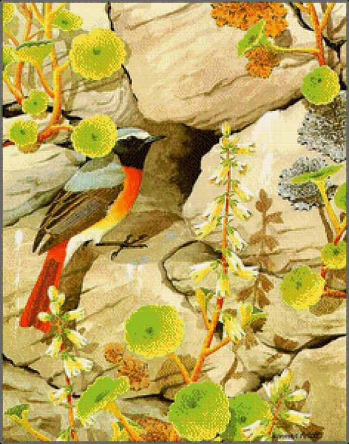 Птичка_6 - птицы - предпросмотр