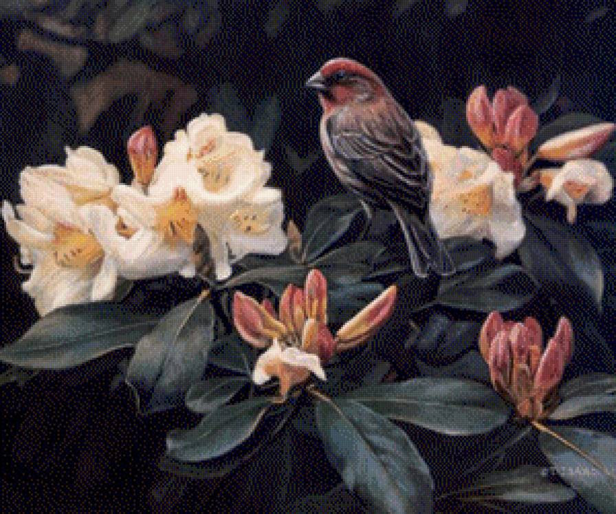 птичка - птицы, животные - предпросмотр