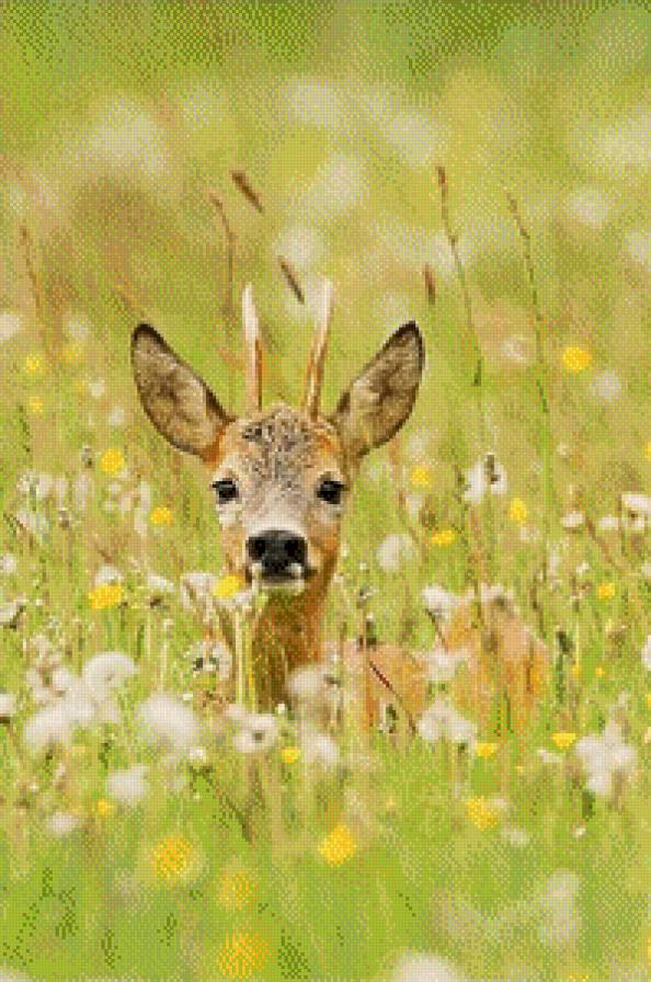 оленёнок - лесной мир, олененок, животные - предпросмотр