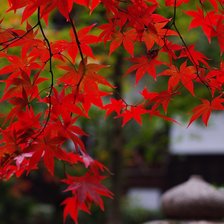 Схема вышивки «№738252»