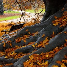 Схема вышивки «№738260»