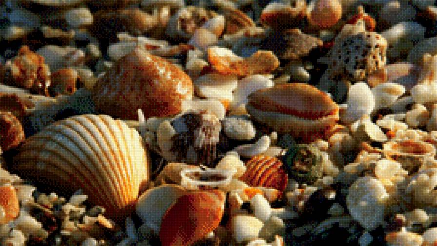 №738262 - предпросмотр