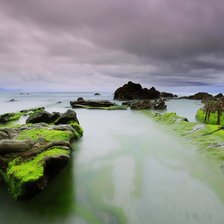 Схема вышивки «№738263»