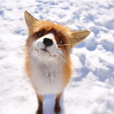 Схема вышивки «№738265»