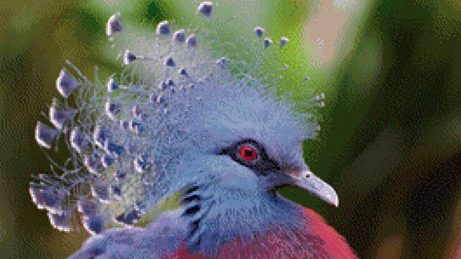 №738281 - предпросмотр