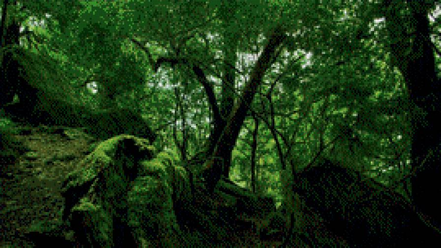 №738284 - предпросмотр