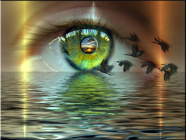 №738307 - оригинал