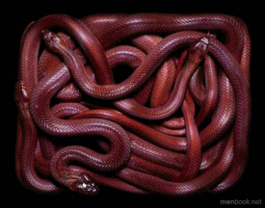 №738318 - предпросмотр