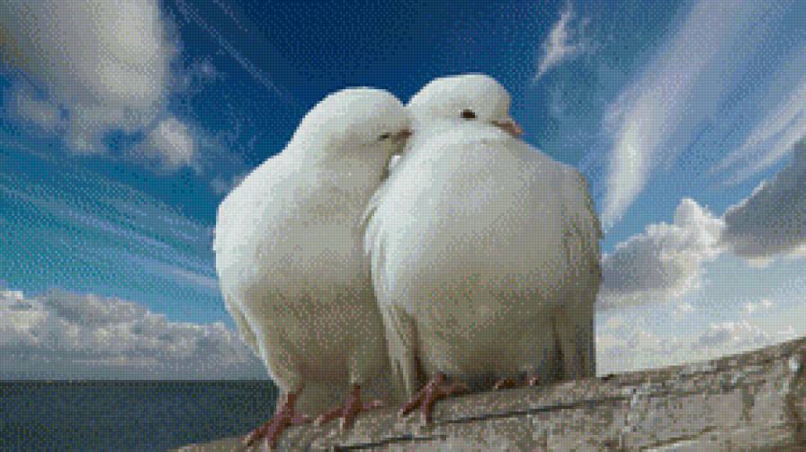 №738332 - предпросмотр