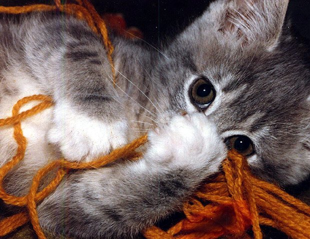 №738341 - оригинал