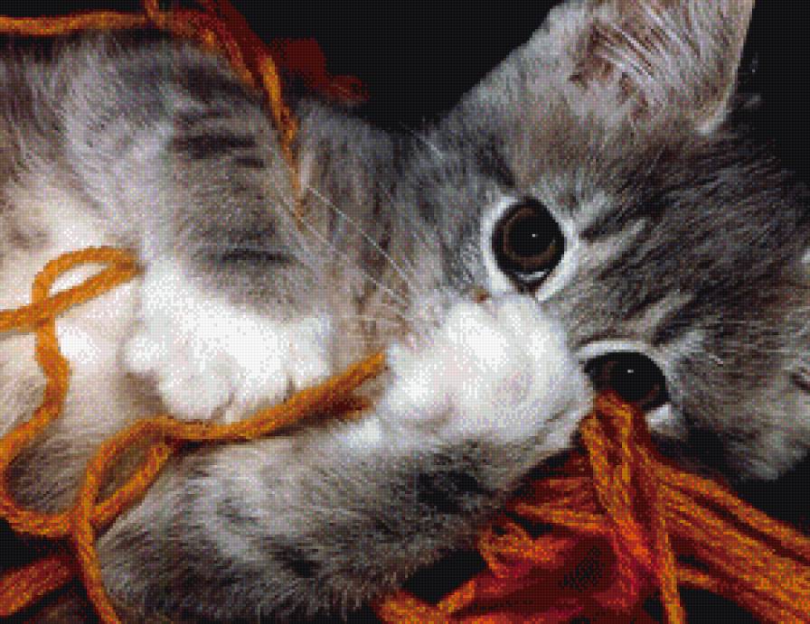 №738341 - предпросмотр