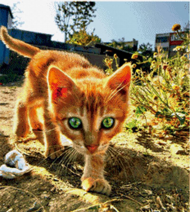 №738342 - предпросмотр