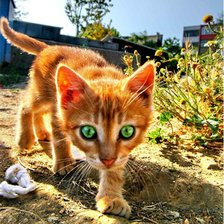 Схема вышивки «№738342»