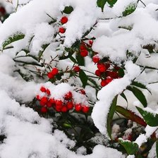 Схема вышивки «№738357»