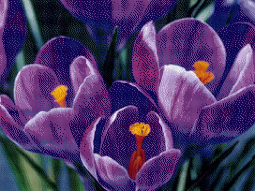 №738358 - предпросмотр