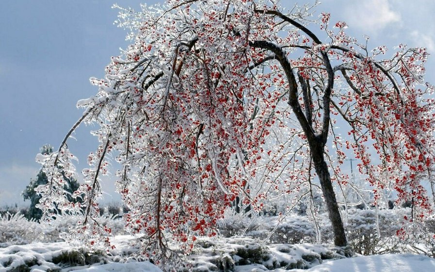 Весна - оригинал