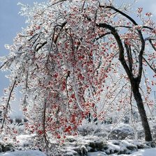 Схема вышивки «Весна»