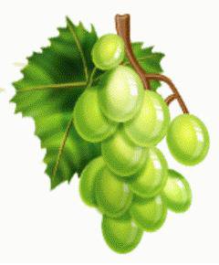 виноград - ягоды - оригинал