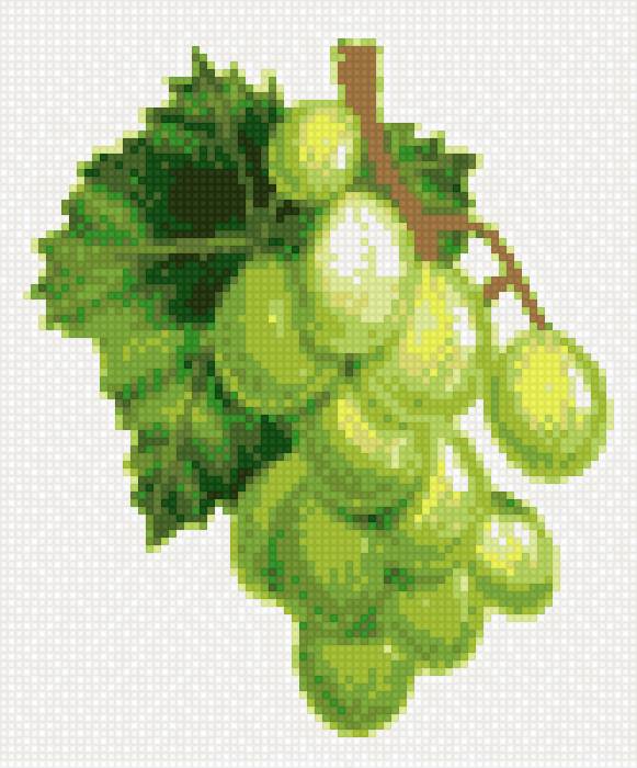 виноград - ягоды - предпросмотр