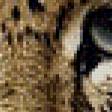 Предпросмотр схемы вышивки «леопард» (№738472)