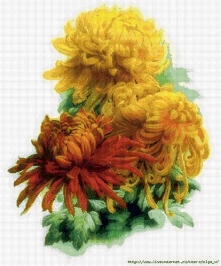 №738485 - предпросмотр