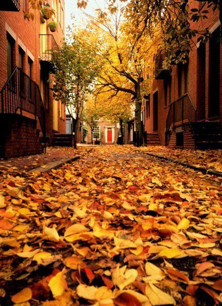 осенний вид - осень, улица - оригинал