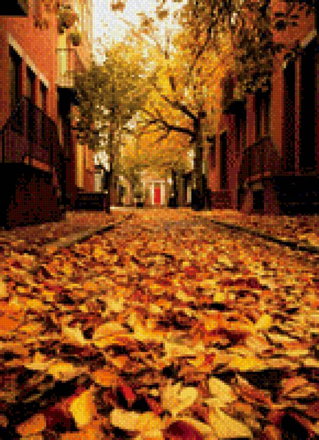 осенний вид - улица, осень - предпросмотр