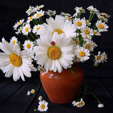 Схема вышивки «№738566»