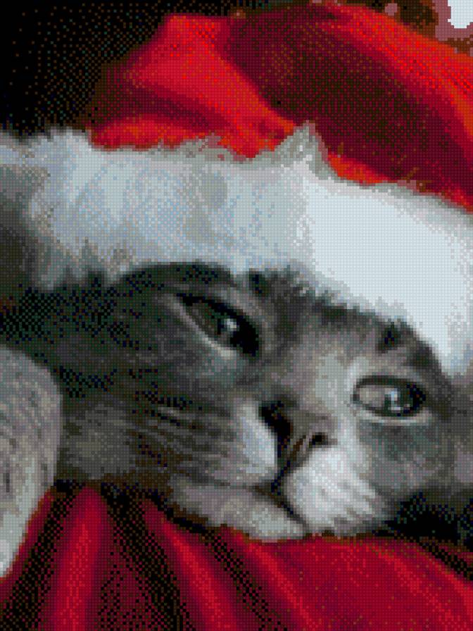 Новогодний котёнок - новый год, кот, животные, кошка, котенок - предпросмотр