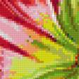 Предпросмотр схемы вышивки «сказочные цветы» (№738852)