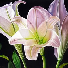 Схема вышивки «сказочные цветы»