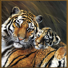 Оригинал схемы вышивки «Тигр с тигренком» (№739066)