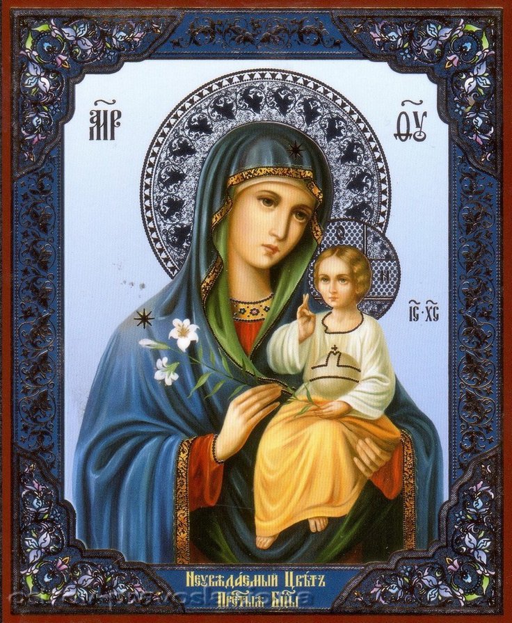 Иконы Богородицы Девы Марии Матери Божьей неувядаемый цвет2 - иконы богородицы девы марии матери божьей неувядаемый цвет2 - оригинал