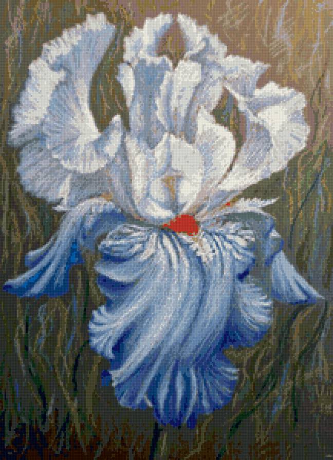 Ирис - голубой, цветок, синий, ирис - предпросмотр