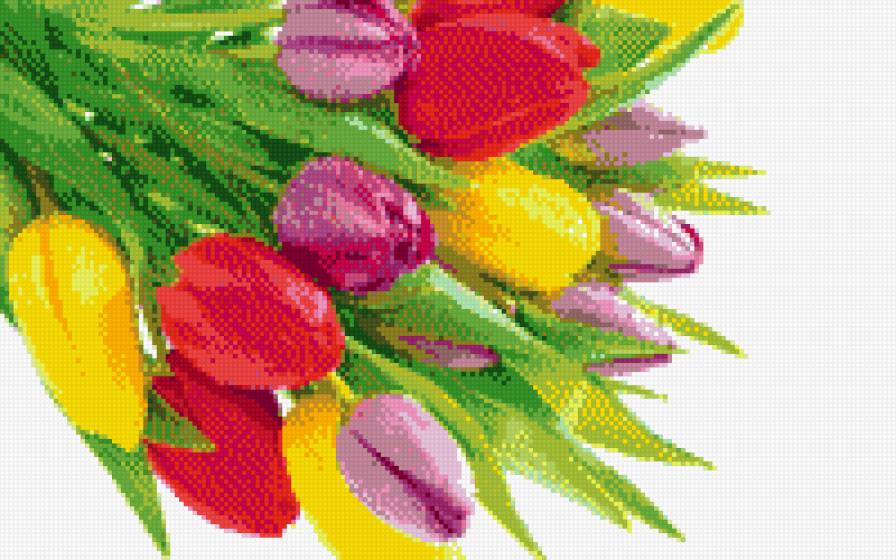 букет тюльпанов - тюльпаны, букет, цветы - предпросмотр