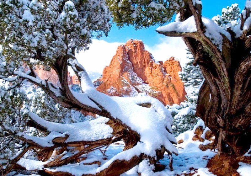 Горный лес - горы - оригинал