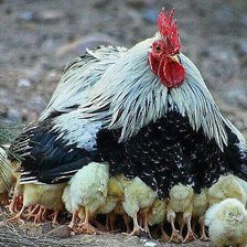 Где ж её носит....мать вашу?..))