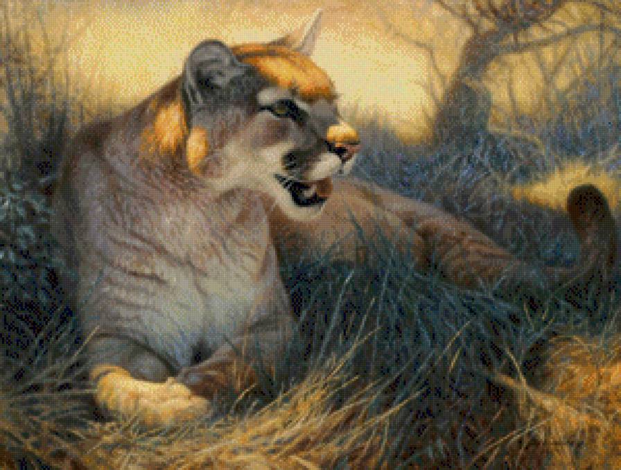 львица - животные - предпросмотр