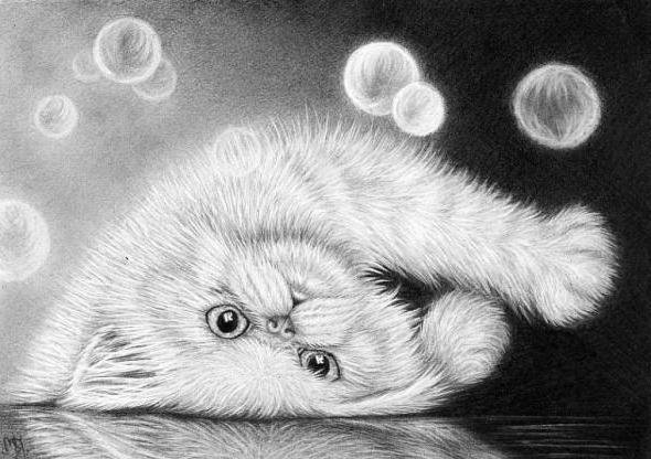 кот и мыльные пузыри - кот животные - оригинал