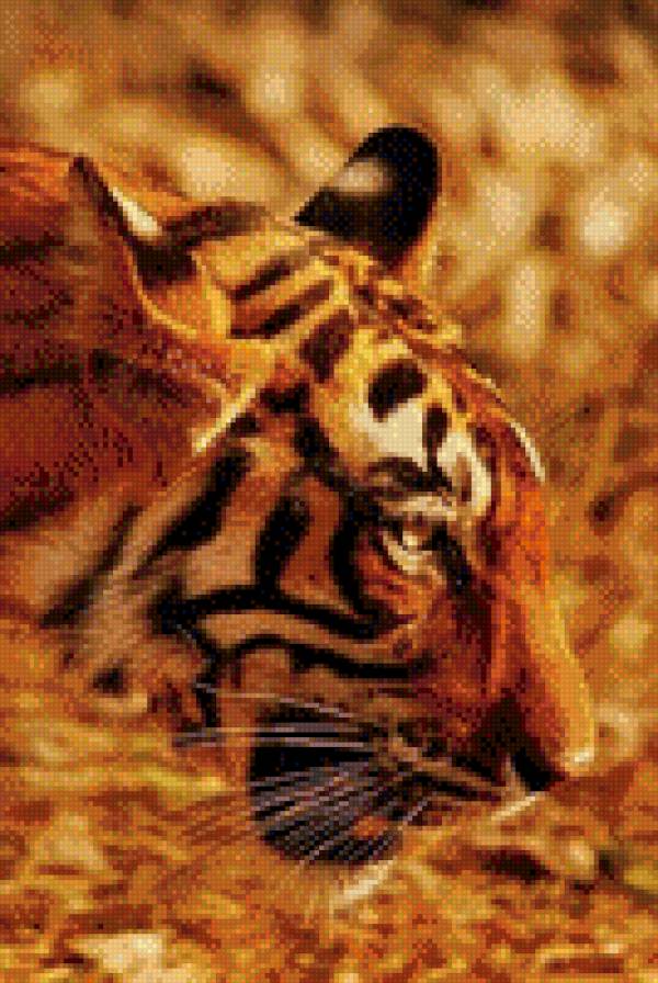 тигр - тигр, животные - предпросмотр