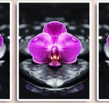 Оригинал схемы вышивки «триптих "орхидеи"» (№740025)