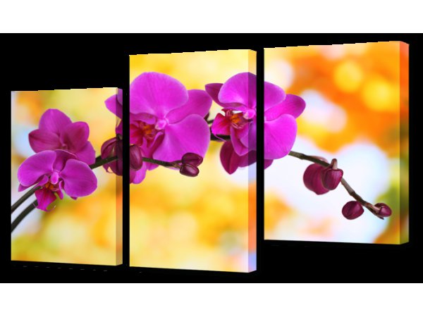 триптих "орхидеи" - орхидеи - оригинал