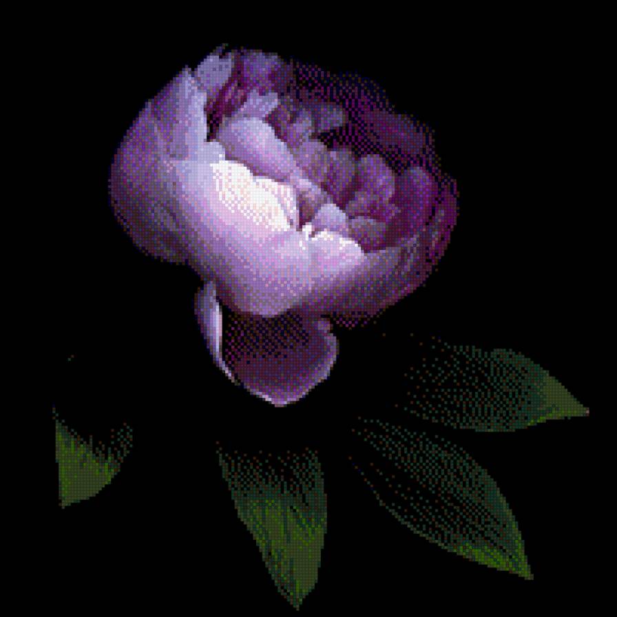 Pion - пион dmc - предпросмотр