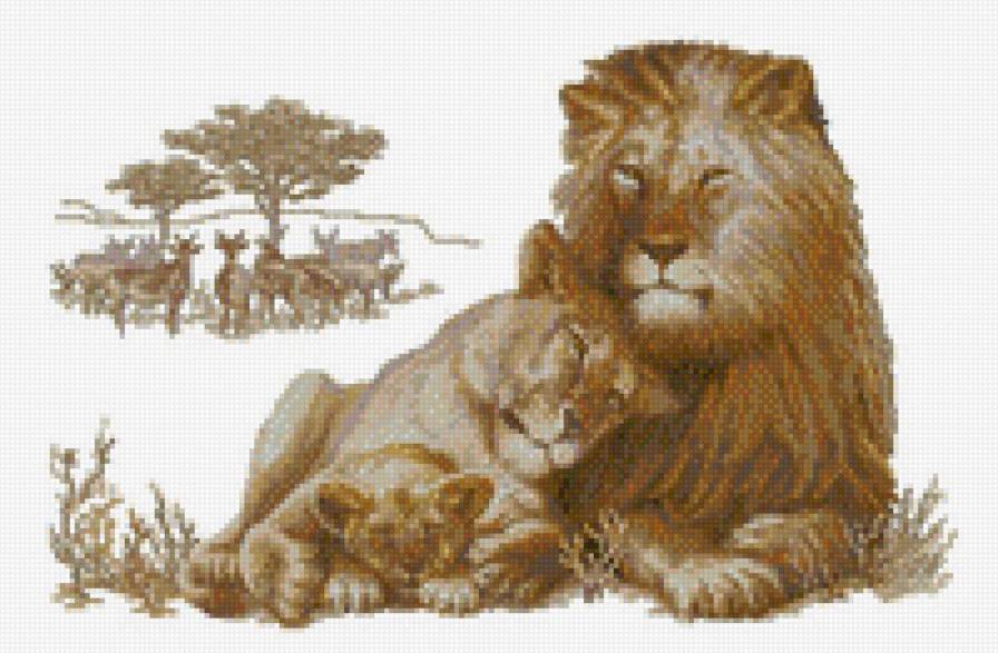 Львиная пара - животные, львы - предпросмотр