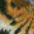 Предпросмотр схемы вышивки «Тигр» (№740242)