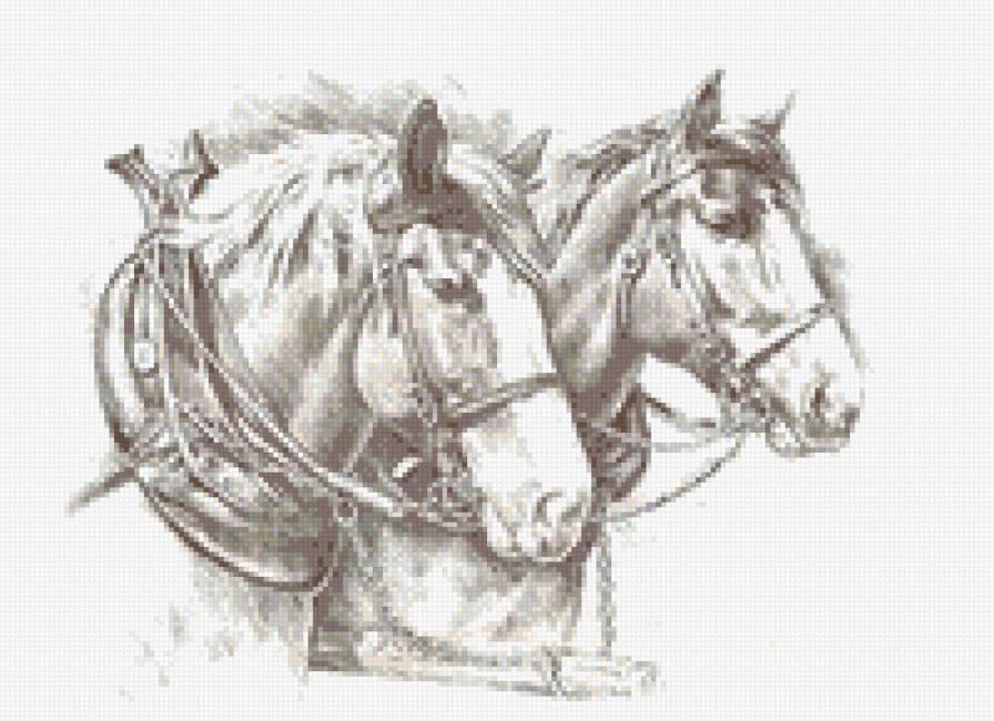 Лошади - лошади, животные, кони - предпросмотр